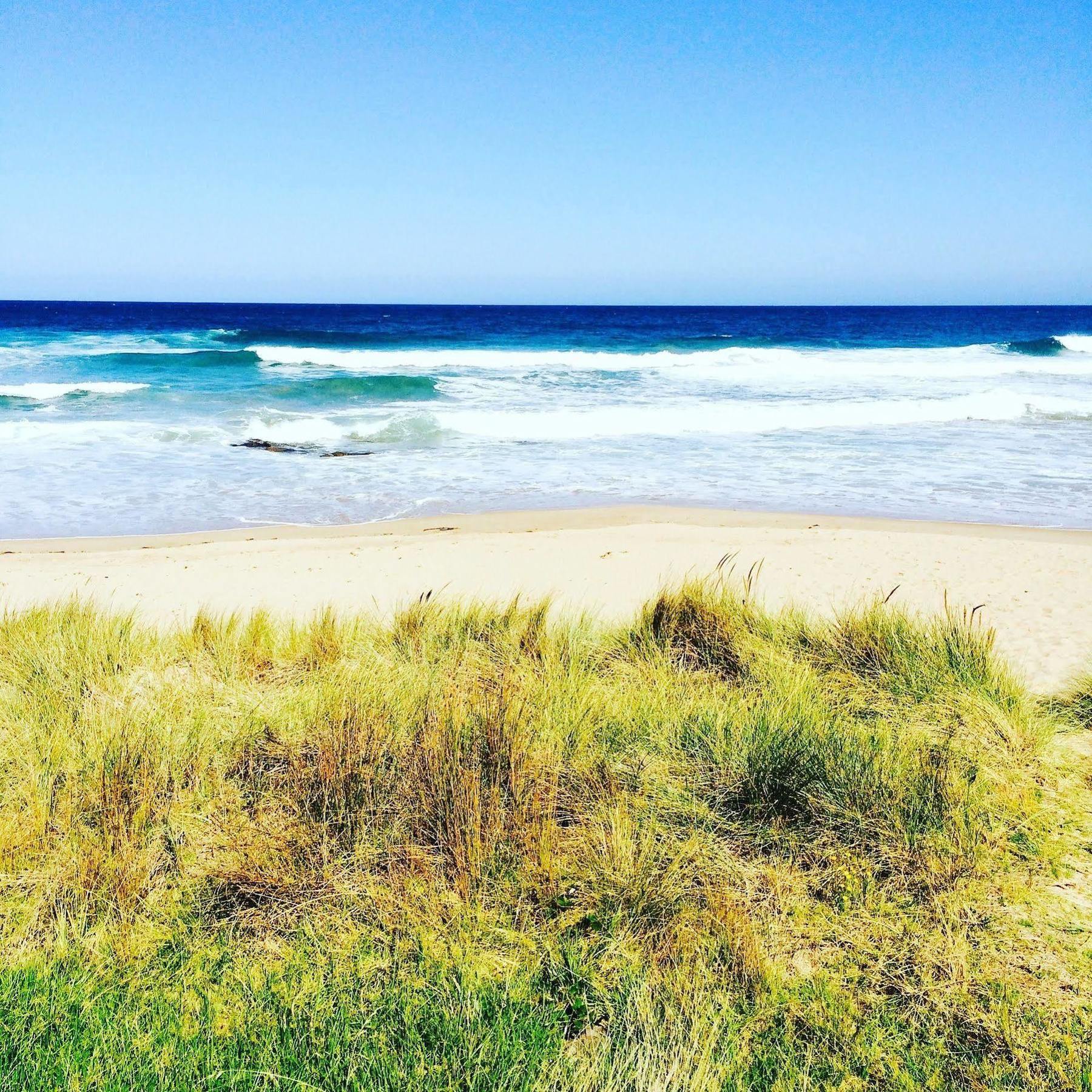 Blue Ocean Motel Apollo Bay Luaran gambar